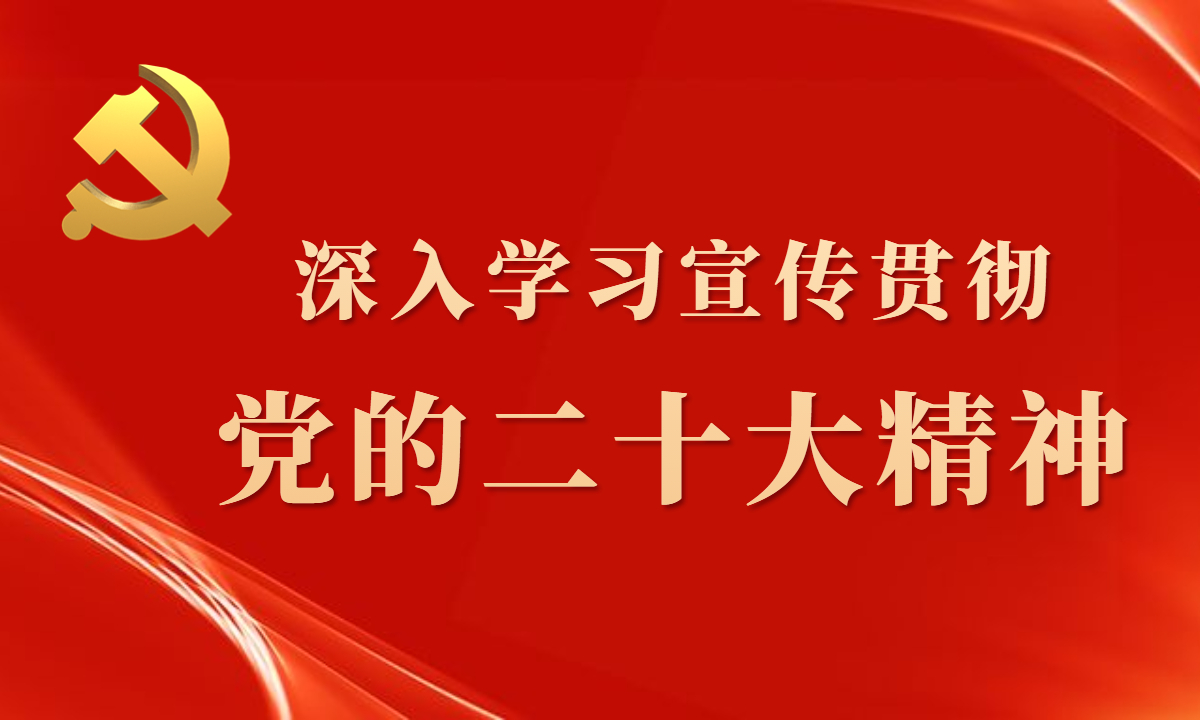 深入學(xué)習(xí)宣傳貫徹黨的二十大精神